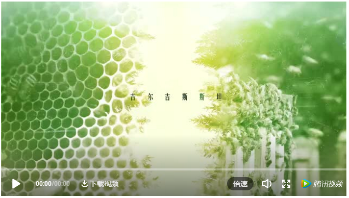香港本港开奖结果